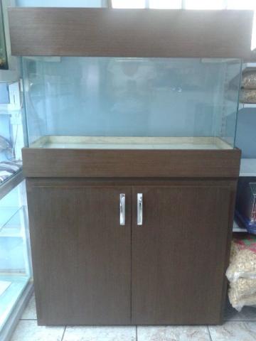 Promoção de aquário c móvel