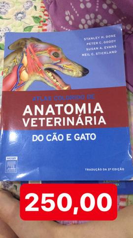 Atlas anatomia veterinária cão e gato