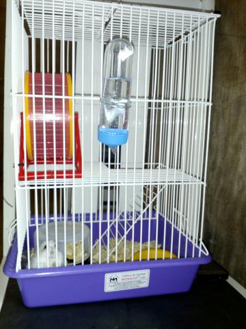 Gaiola para hamster