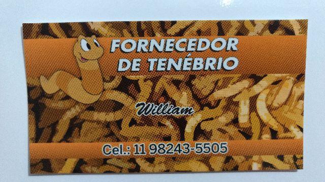 Fornecedor de tenebrio