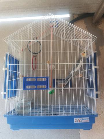 Vendo gaiola completa
