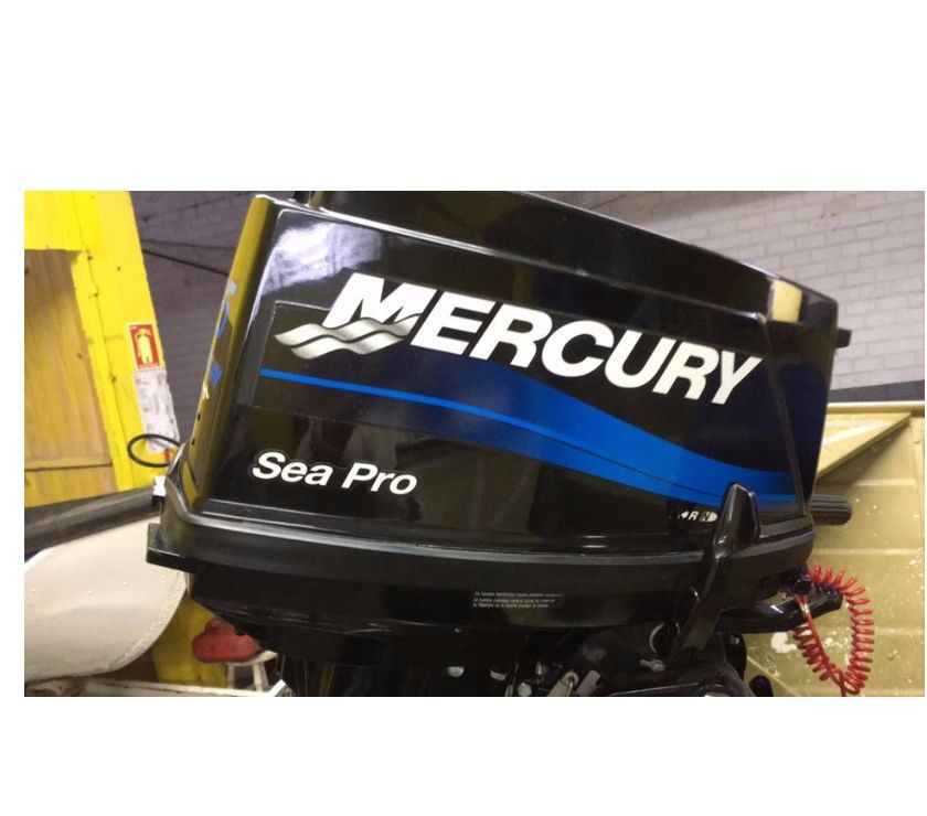 motor mercury 25 hp SEA PRO