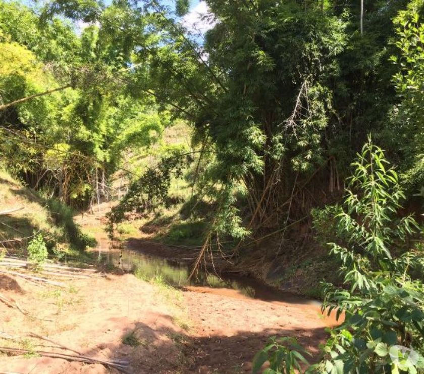 Fazendinha de 12 hectares localizada em JequeriPonte NovaM