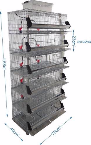 Gaiola Codorna Codornão 12 Lugares - Chocmaster