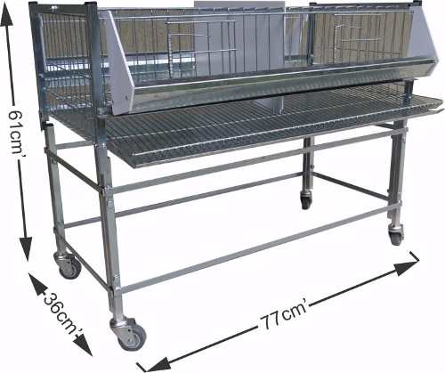 Gaiola Para Codorna E Codornão - Isabela Com Base