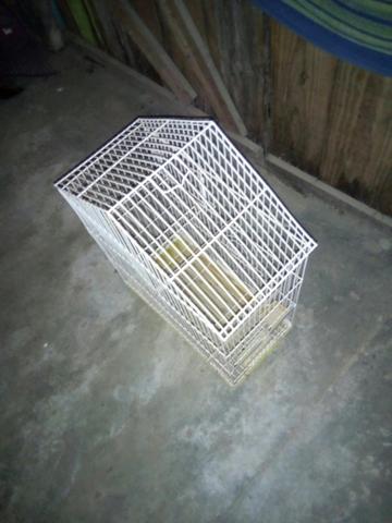 Gaiola(aves grandes)