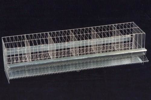 Gaiolas Criacao Codornas Gaiola Codornas Poedeira 6