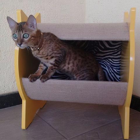 Casinha/arranhador para gato - Mobilicats