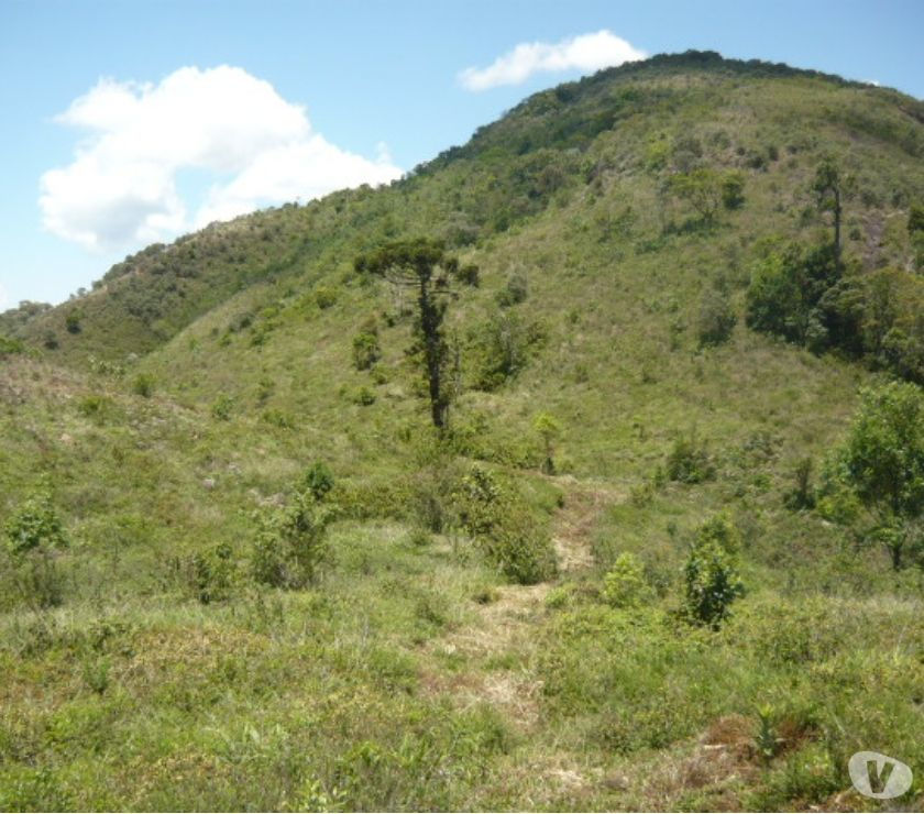 Uma Linda Fazenda Pelo Preço de Uma Chácara!!!