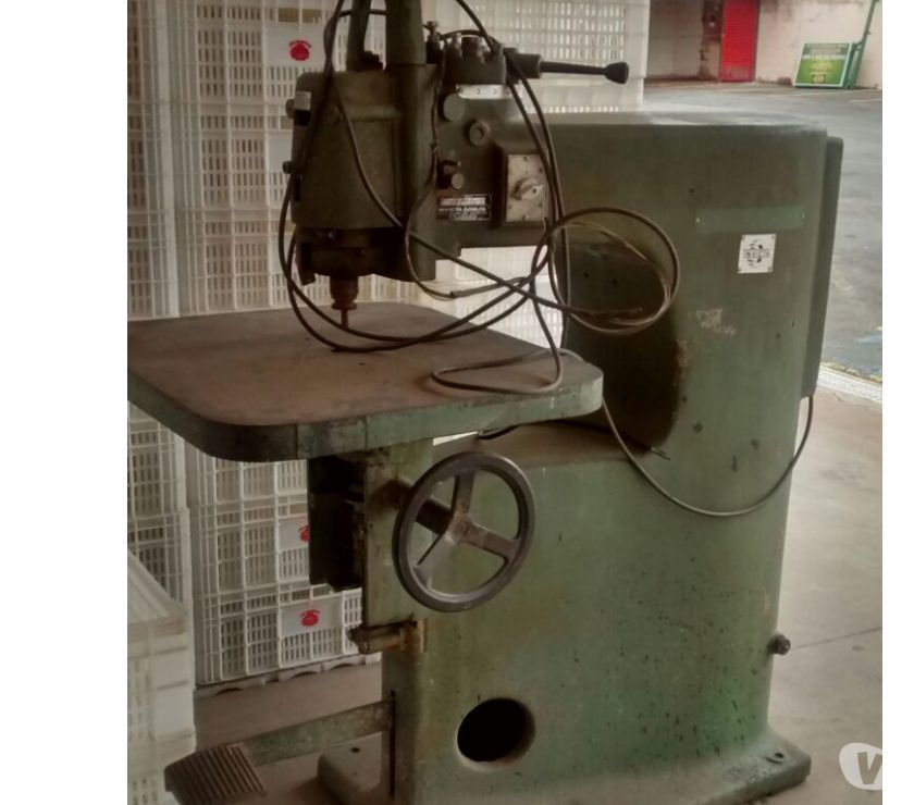 vende se Tupia Invicta