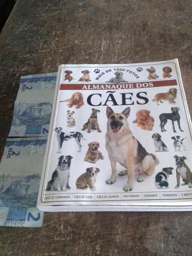 Almanaque Dos Cães - Fotos