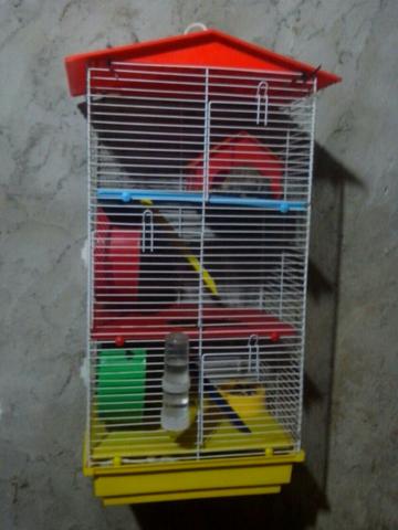 Gaiola 3 andar c 4 esquilo