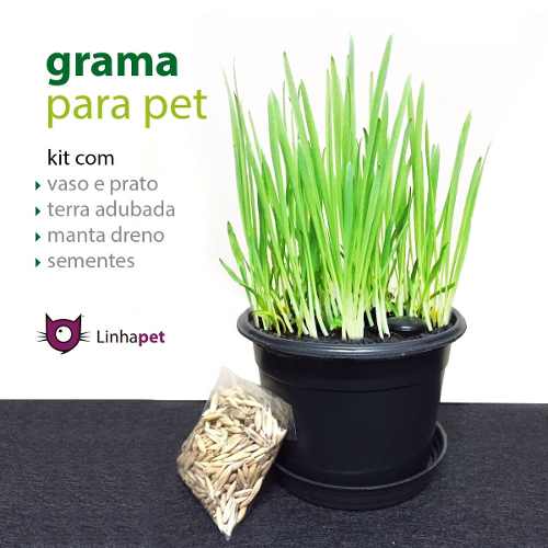 Kit Grama Para Pet Com Vaso Completo - Linhapet