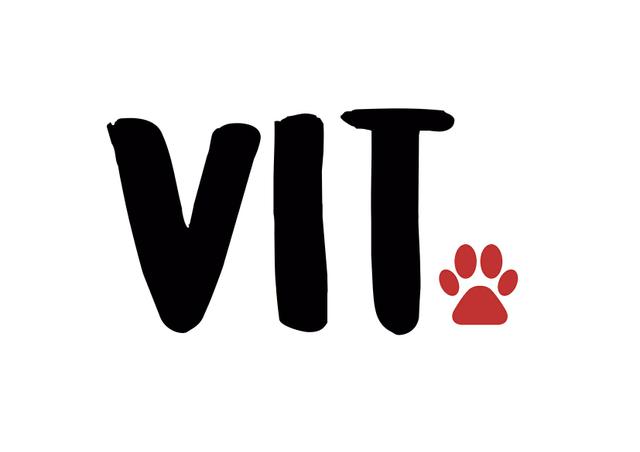 DogWalker (Passeio com cães)