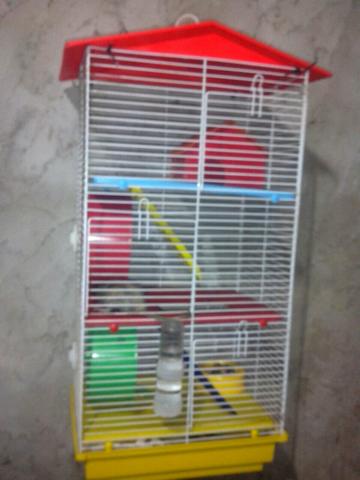 Gaiola 3 andar so hj