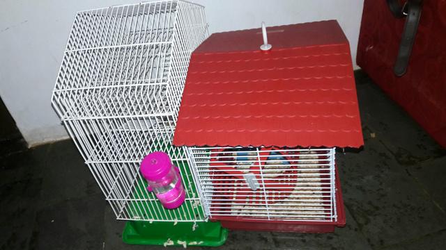 Vendo gaiola pra hamster