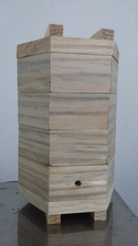 Caixa Para Abelha Mirim Sextavada