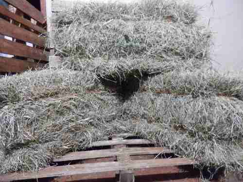 Fardo De Feno Tifton, Feno Vaqueiro, Capim Tifton, Feno Seco