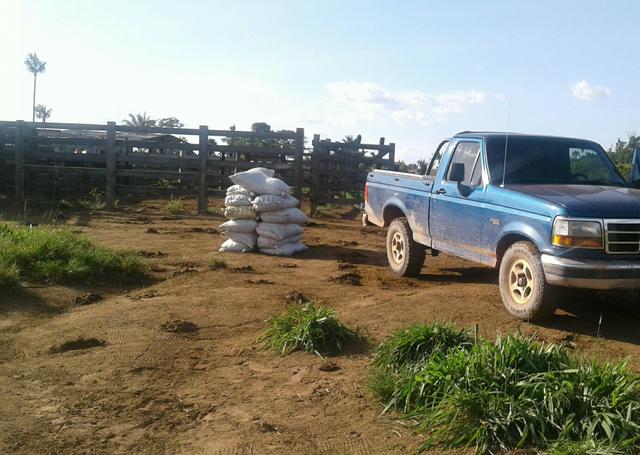 Promoção de adubo (esterco)