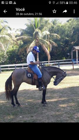 Manga larga marchador