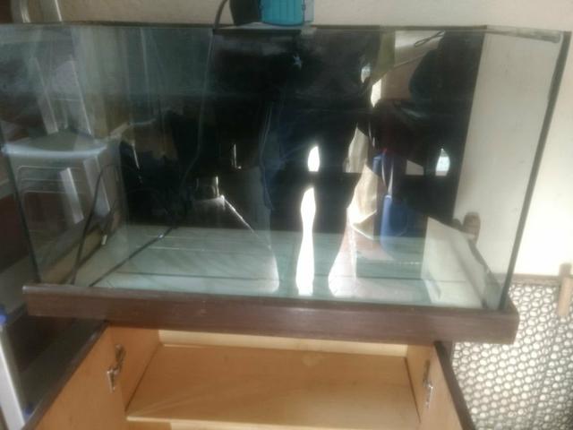 Aquario 84 litros