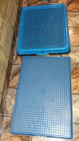 Tapete higienico para cachorro