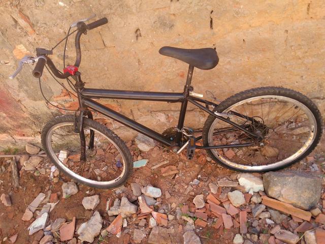 Troco o celular no cavalo o égua