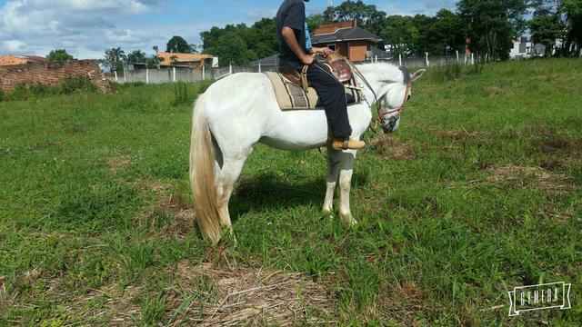 Torrando manga larga machador