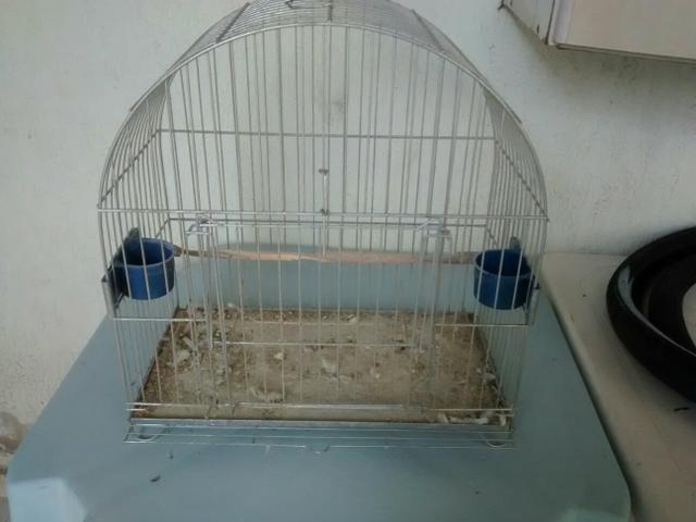 Vendo gaiola novas
