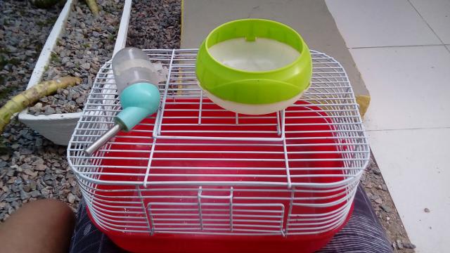 Gaiola de Hamster