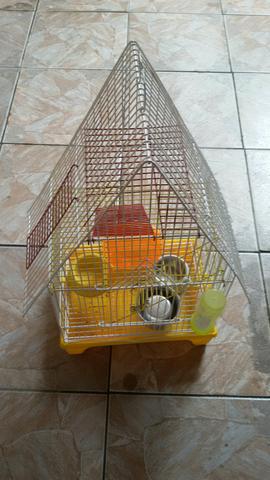 Gaiola para ramister ou esquilo