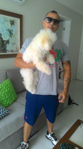 Adestramento de Cães