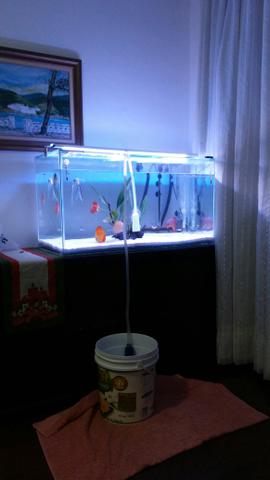 Aquario 200l