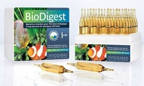 Prodibio Biodigest - Unidade (1 Ampola) - Promocao