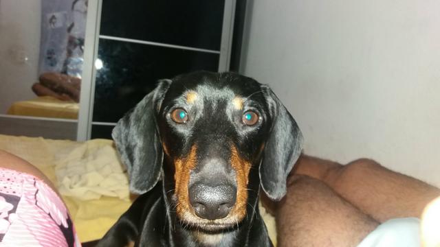 Doação responsável