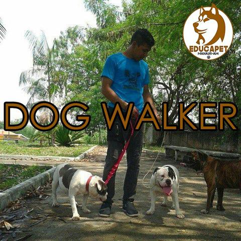 Dog Walker Educapet