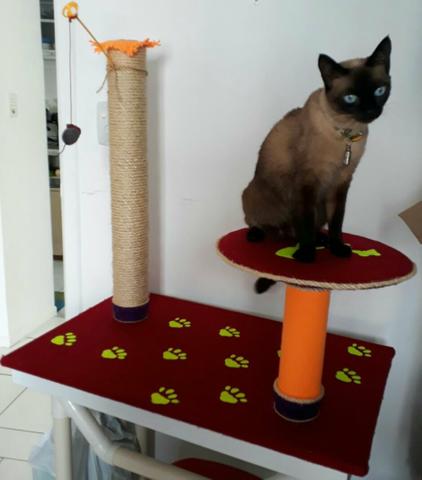 Playground/arranhador para gatos