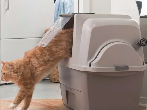 Sanitario Caixa Banheiro P Gato Easyclean Smartsift Cat It