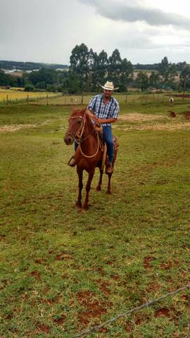 Vendo ou troco por algo do meu interesse