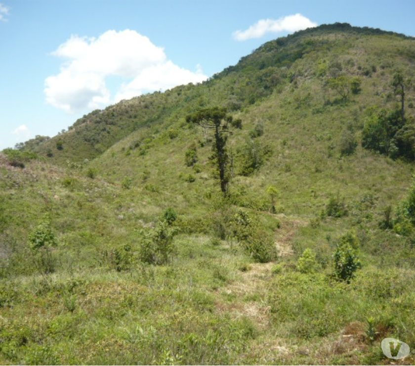 Fazenda Baratíssima!!!