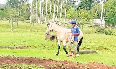 Potranco Crioulo Puro