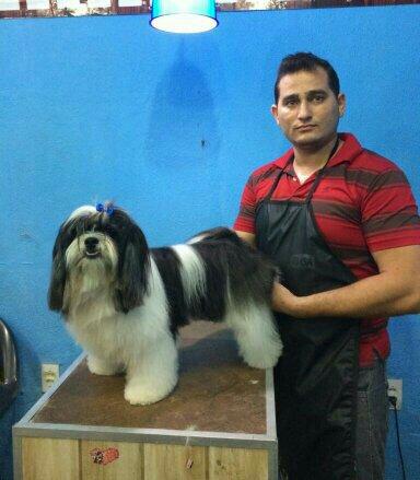 Serviço de banho e tosa para pets vip