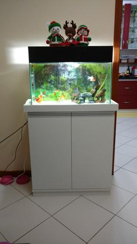 Aquário 50L + Movel