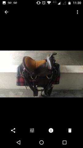 Sela Quarto de Milha