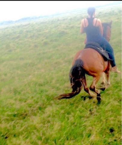 Vendo égua avista ou parcelada