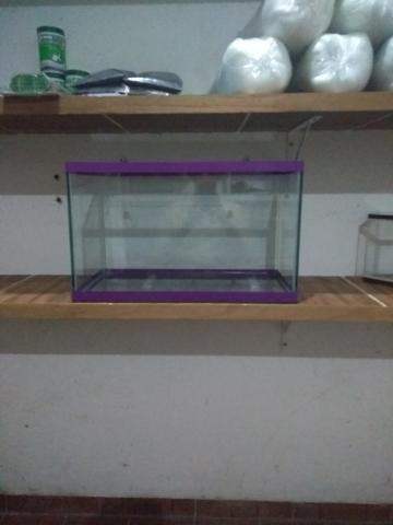 Aquário 50 cm x 25 cm x 30 cm