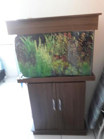 Aquário Completo