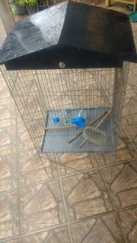 Vende_se gaiola de periquito tamanho grade