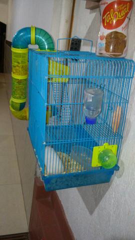 Gaiola hamster c/ hamster