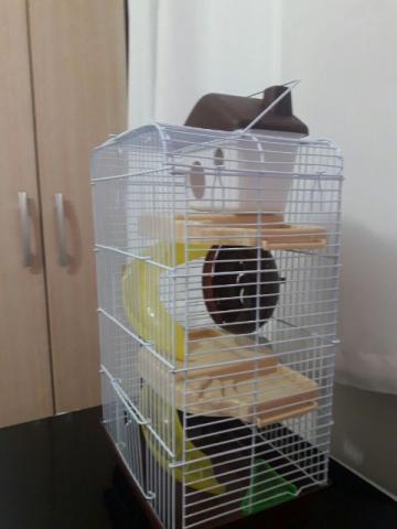 Hamster + casinha